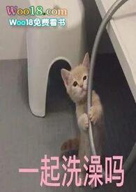 上上签是什么平台